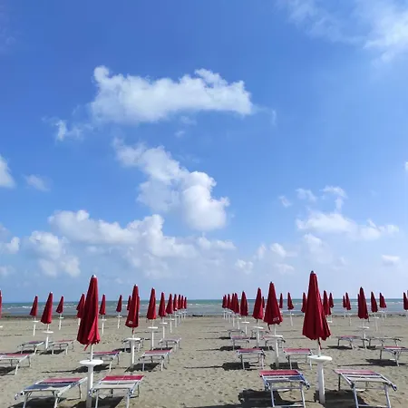 Mirella-nuova Gestione 호텔