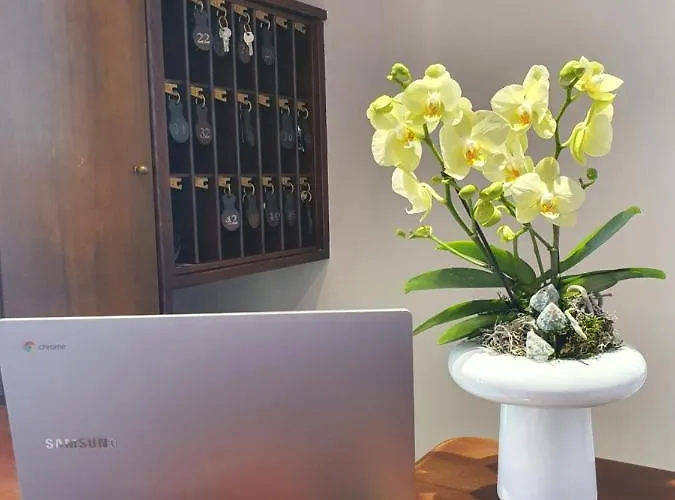 Mirella-nuova Gestione 格拉多